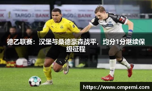 德乙联赛：汉堡与桑德豪森战平，均分1分继续保级征程