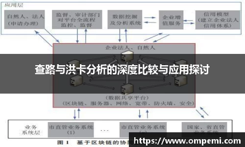 查路与洪卡分析的深度比较与应用探讨
