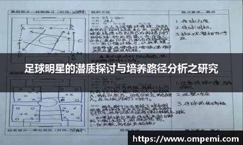 足球明星的潜质探讨与培养路径分析之研究